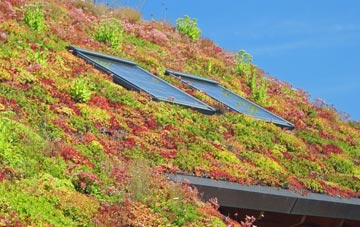 Lapford Cross living roof systems